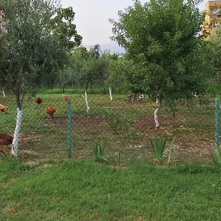 Villa House Of Figs And Olives التين والزيتون