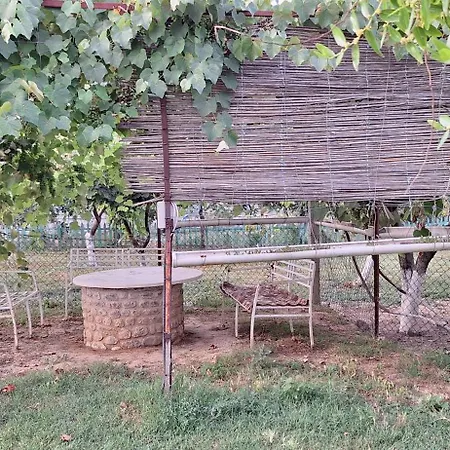 House Of Figs And Olives التين والزيتون *